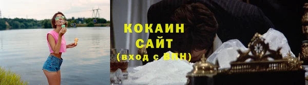 сатива Богородск