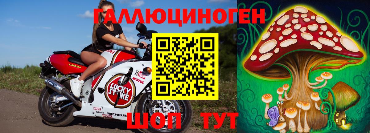 Псилоцибиновые грибы Cubensis Малоярославец