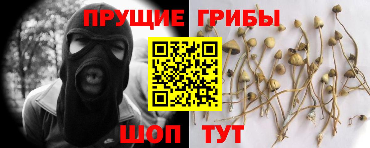Малоярославец  Галлюциногенные грибы GOLDEN TEACHER  Вход с VPN 
